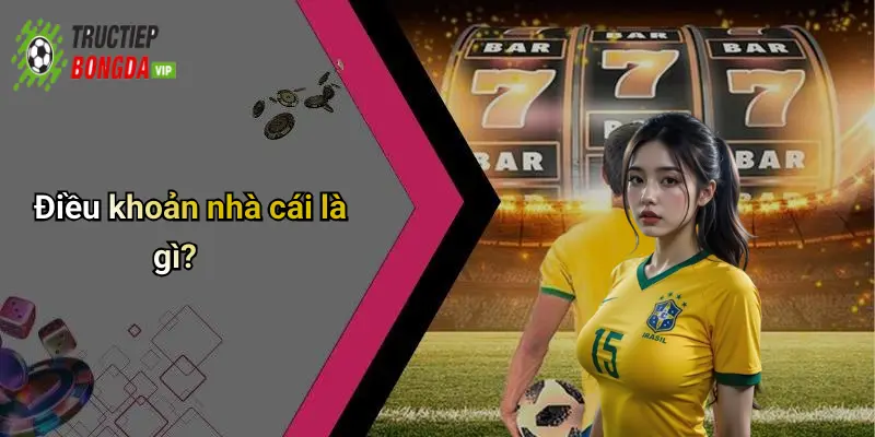 Điều khoản nhà cái là gì?