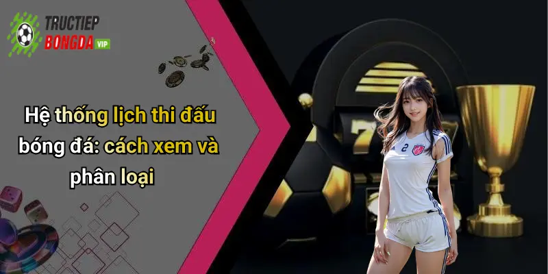 Hệ thống lịch thi đấu bóng đá: cách xem và phân loại