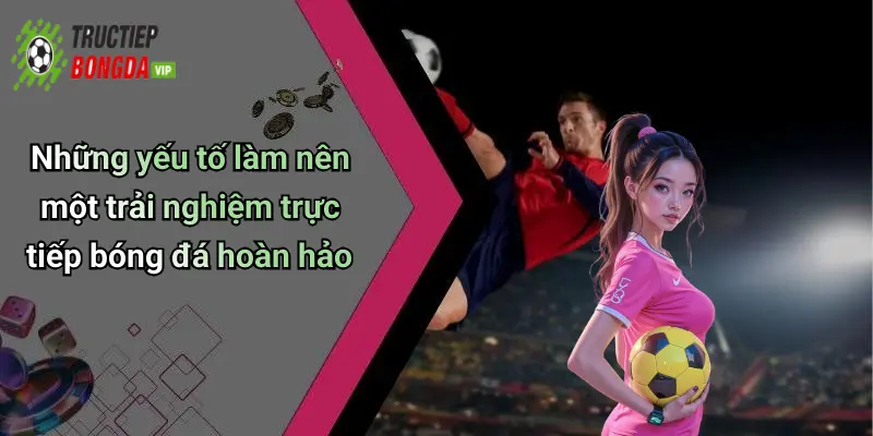 Những yếu tố làm nên một trải nghiệm trực tiếp bóng đá hoàn hảo