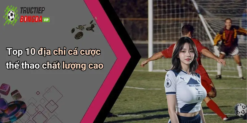 Top 10 địa chỉ cá cược thể thao chất lượng cao