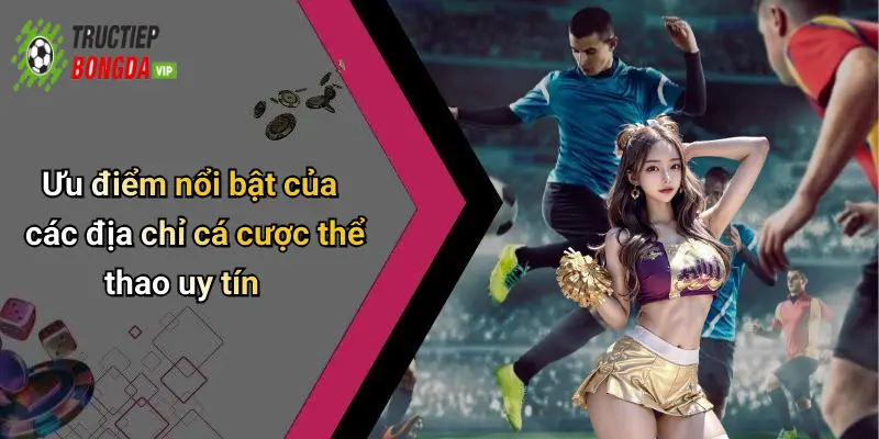 Ưu điểm nổi bật của các địa chỉ cá cược thể thao uy tín