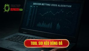 thumb - tool soi kèo bóng đá