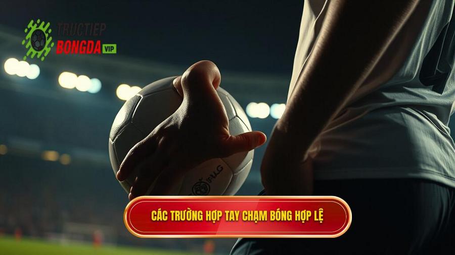 2. Các trường hợp tay chạm bóng hợp lệ