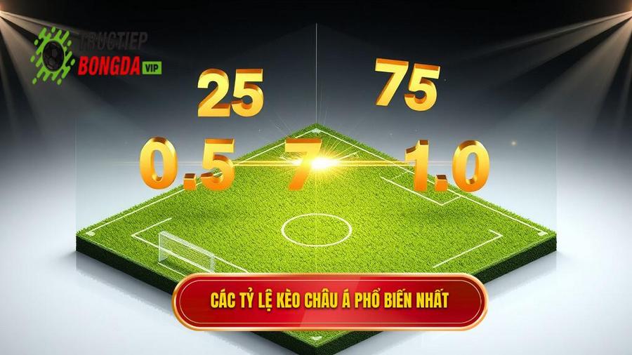 Các tỷ lệ kèo Châu Á phổ biến nhất
